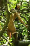 skinny girl nude in the woods