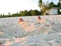 Sand Girls